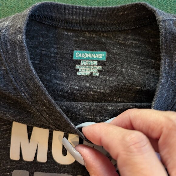 Bundle Boy's Long Sleeve T-shirts 5T 💙 - Picture 3 of 7